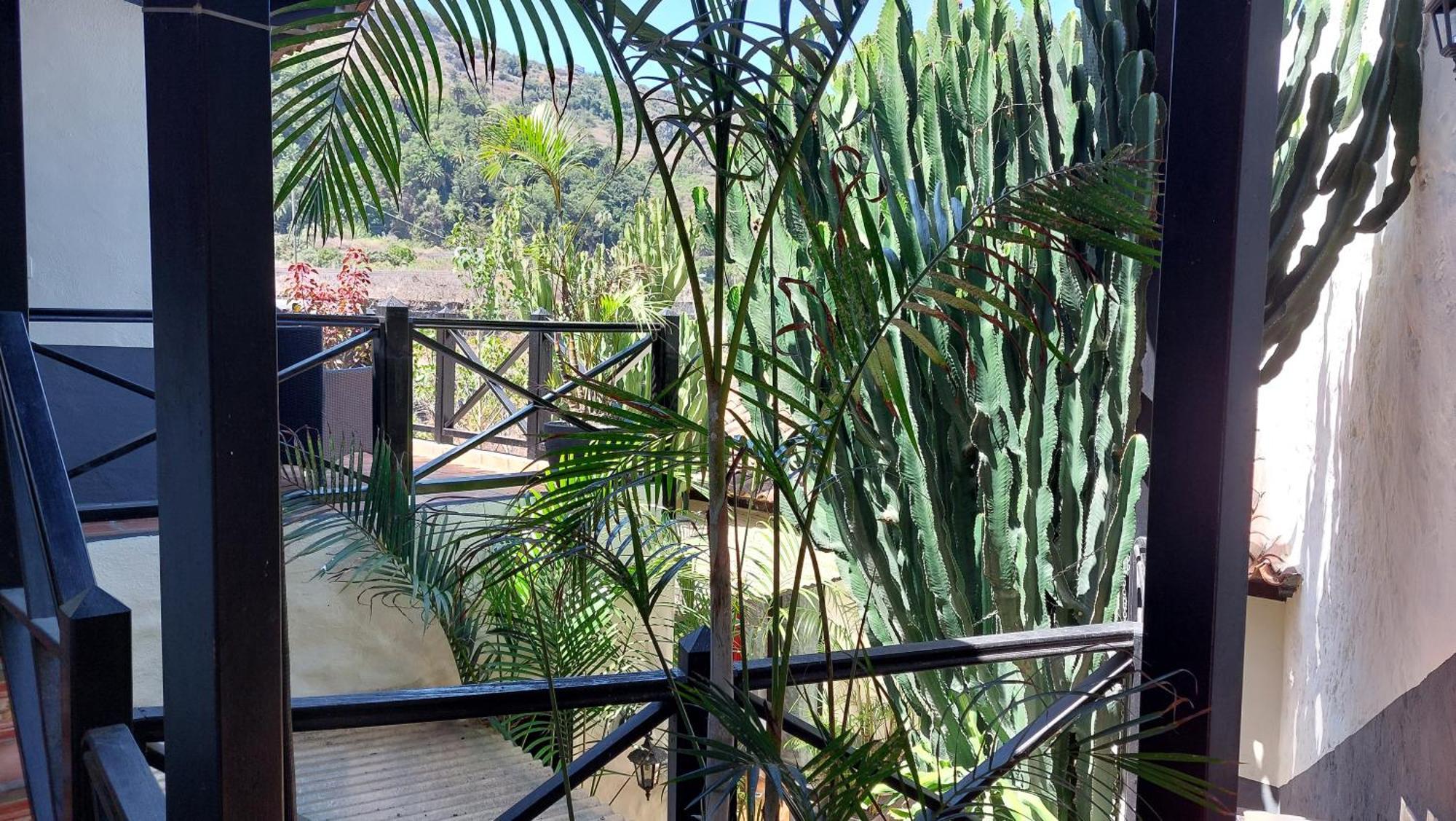 איקוד דה לוס וינוס Apartamentos Monasterio De San Antonio - Adults Only מראה חיצוני תמונה