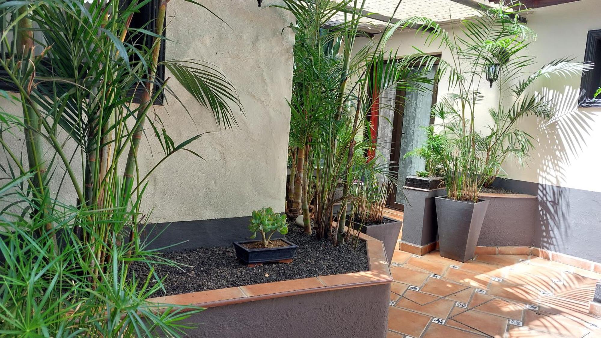 איקוד דה לוס וינוס Apartamentos Monasterio De San Antonio - Adults Only מראה חיצוני תמונה