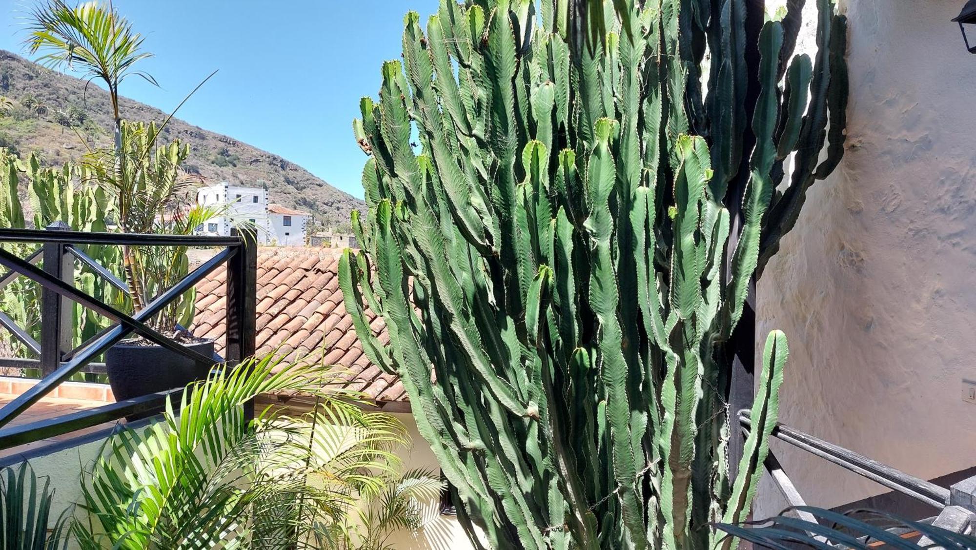 איקוד דה לוס וינוס Apartamentos Monasterio De San Antonio - Adults Only מראה חיצוני תמונה
