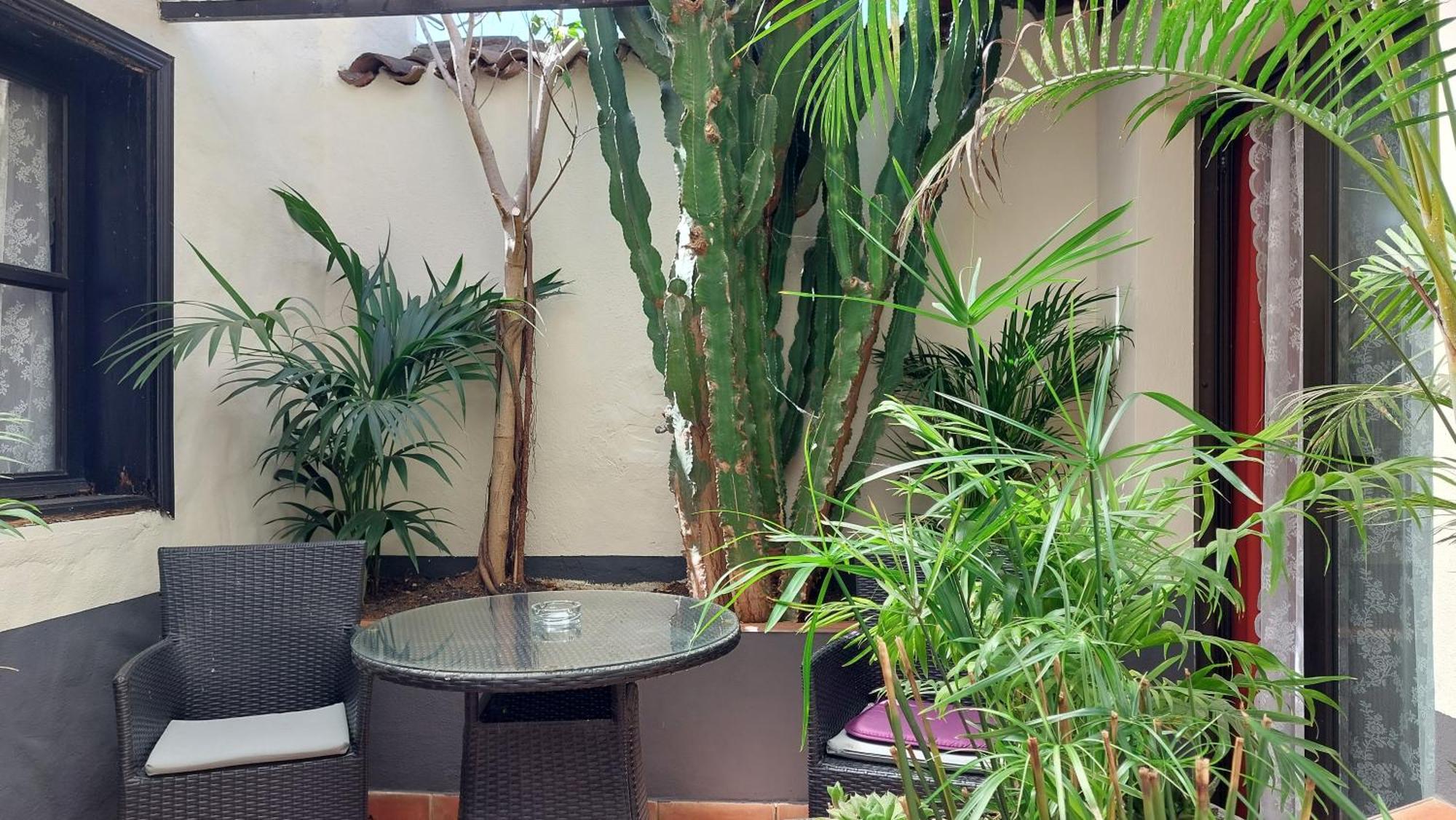 איקוד דה לוס וינוס Apartamentos Monasterio De San Antonio - Adults Only מראה חיצוני תמונה