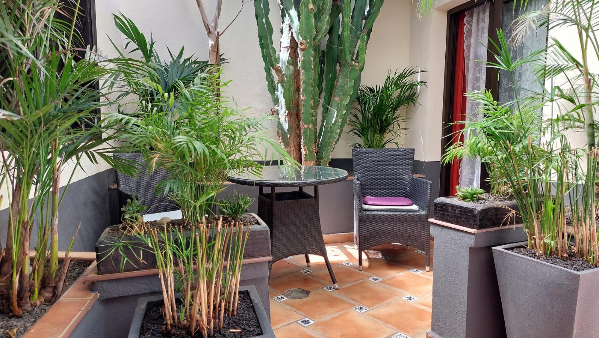 איקוד דה לוס וינוס Apartamentos Monasterio De San Antonio - Adults Only מראה חיצוני תמונה