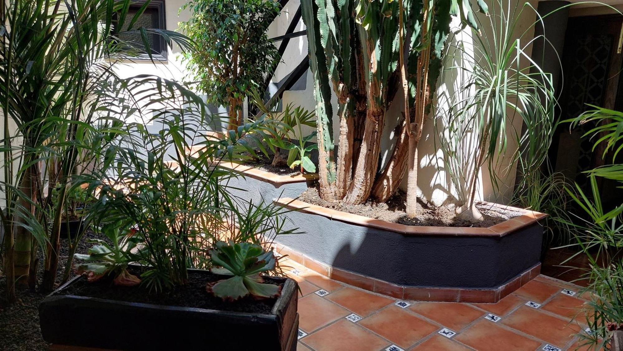 איקוד דה לוס וינוס Apartamentos Monasterio De San Antonio - Adults Only מראה חיצוני תמונה