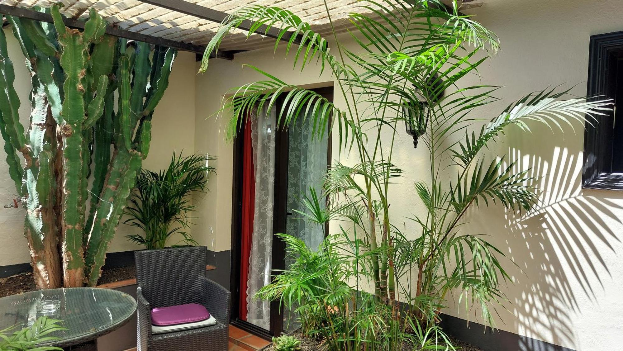 איקוד דה לוס וינוס Apartamentos Monasterio De San Antonio - Adults Only מראה חיצוני תמונה